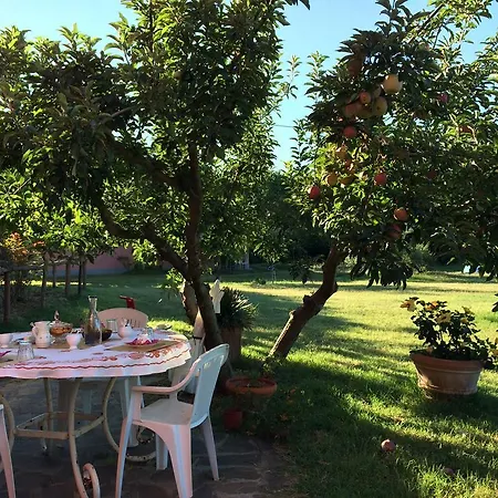 La Taberna Di Lupacama Braccagni