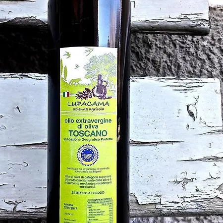 ファームステイ La Taberna Di Lupacama *